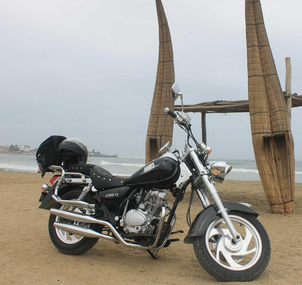 Vendo por viaje Moto Custom estilo Harley Davidson Softail Classic