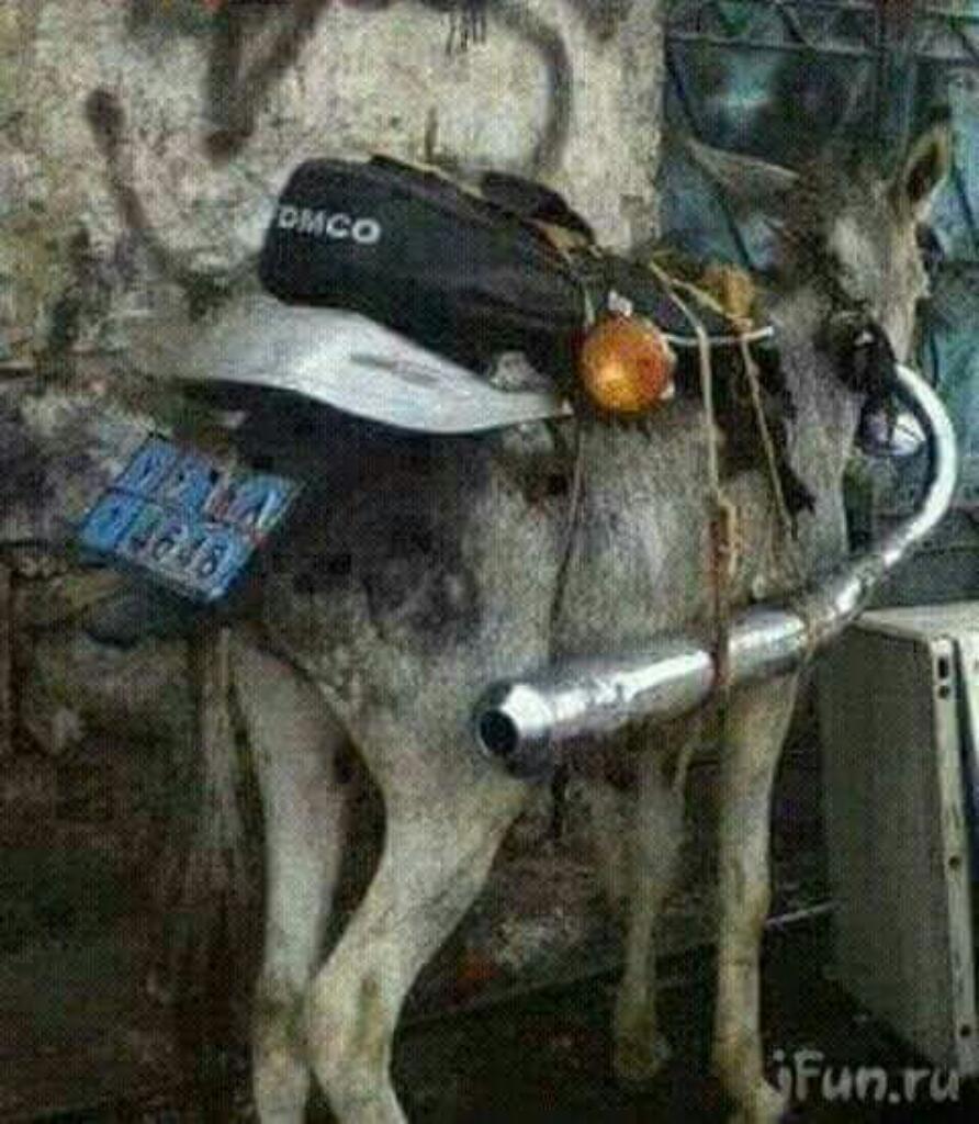 Vendo Moto para Cholos