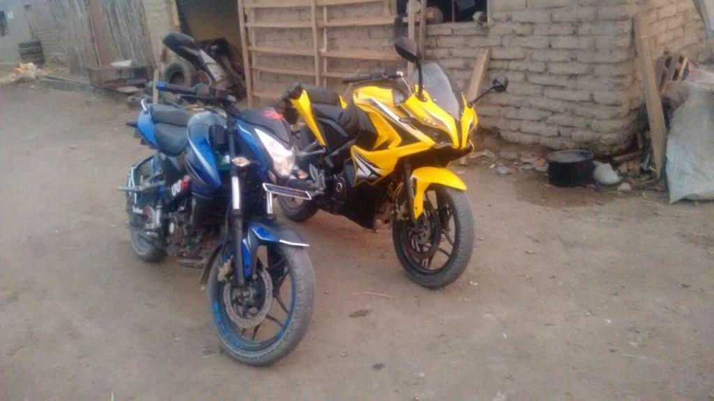 moto rs pulsar