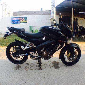 Pulsar Ns 200 Decal