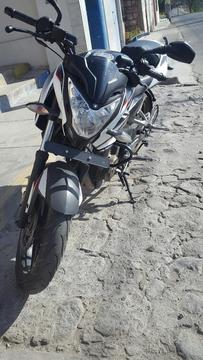 Pulsar 200 Ns Decal