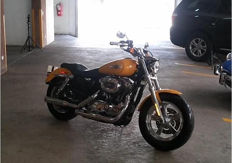 Harley XL1200C 2012
