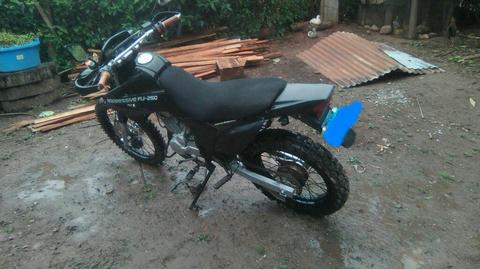 Lineal 250