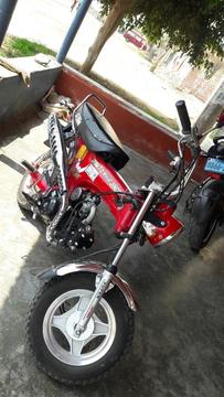 Moto Dax Motor 70