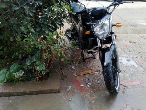 Fz 16