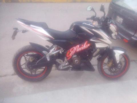 Pulsar Ns200 Decal