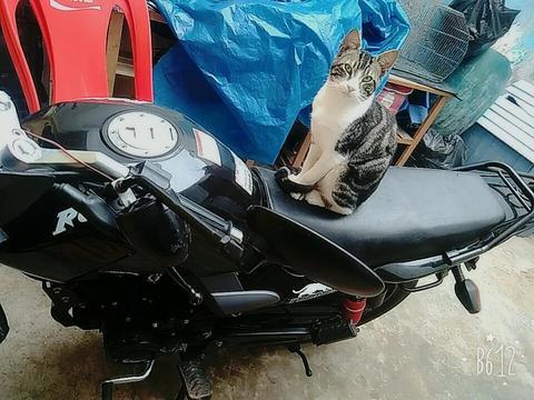 Vendo Moto Marca Ronco ,,,2015 con Soat