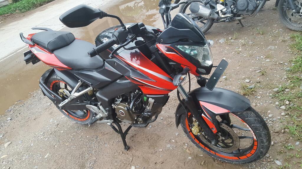 Pulsar 200 Ns Decal