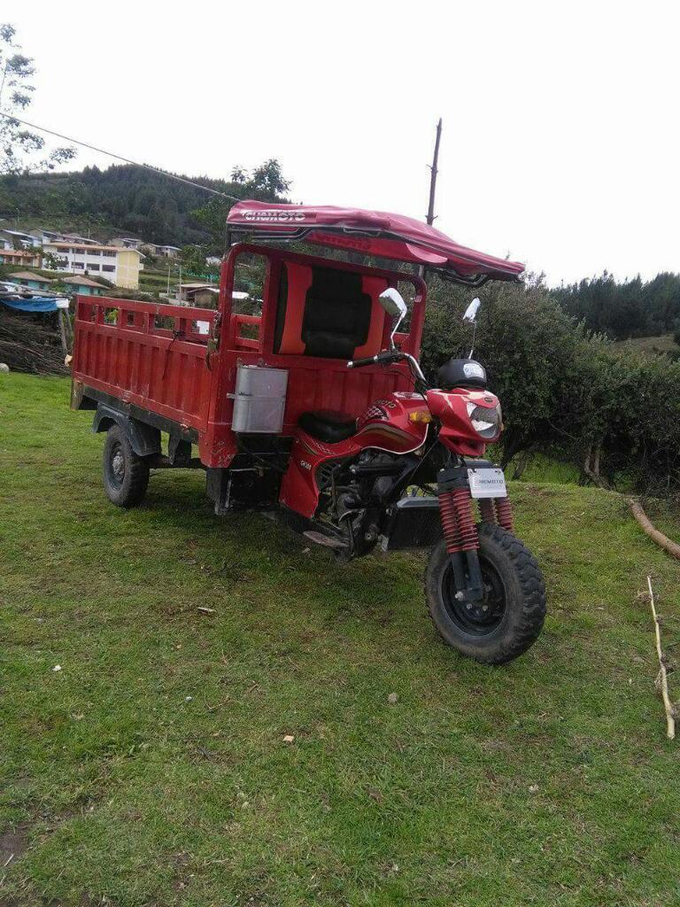 Vendo Moto Carguera