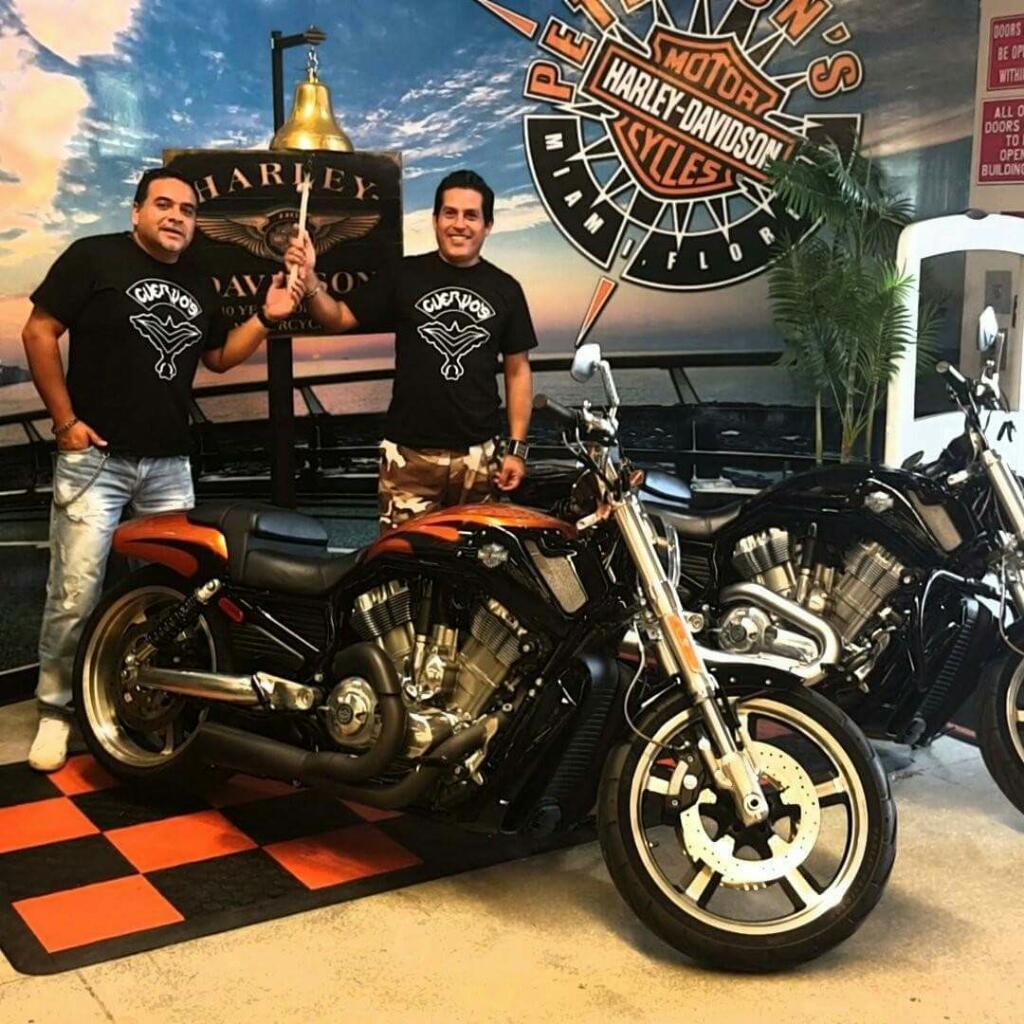 Harley Davidson V-rod Muscle
