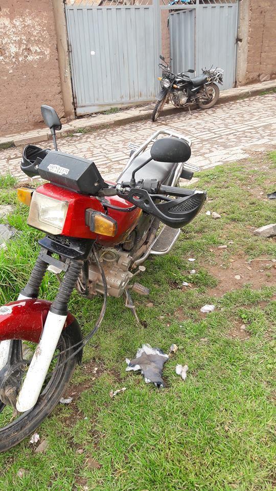 MOTO wanxin