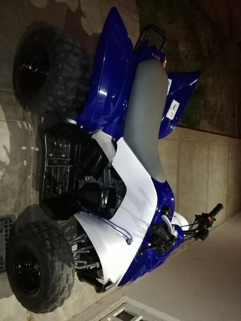 Yamaha Raptor90 Automat