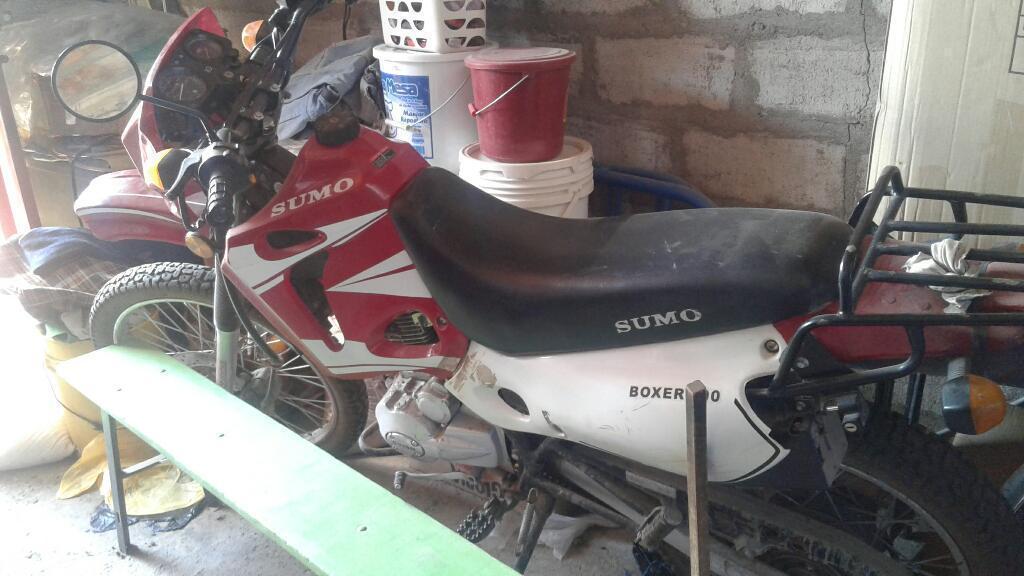 Moto Sumo