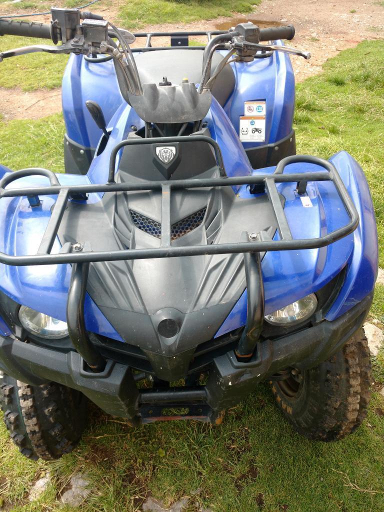 Yamaha Grizzly Remato