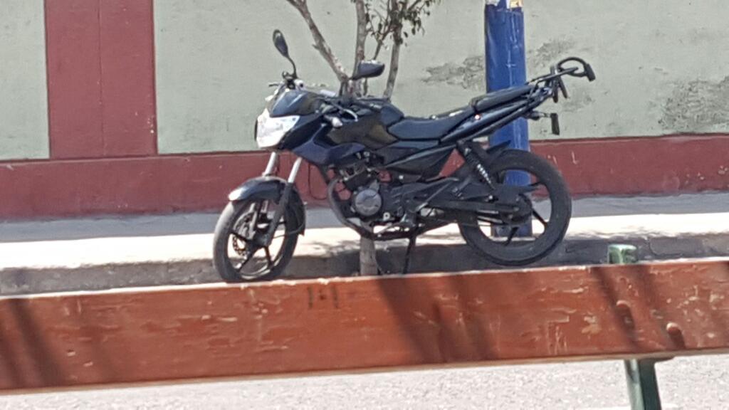 Pulsar 135