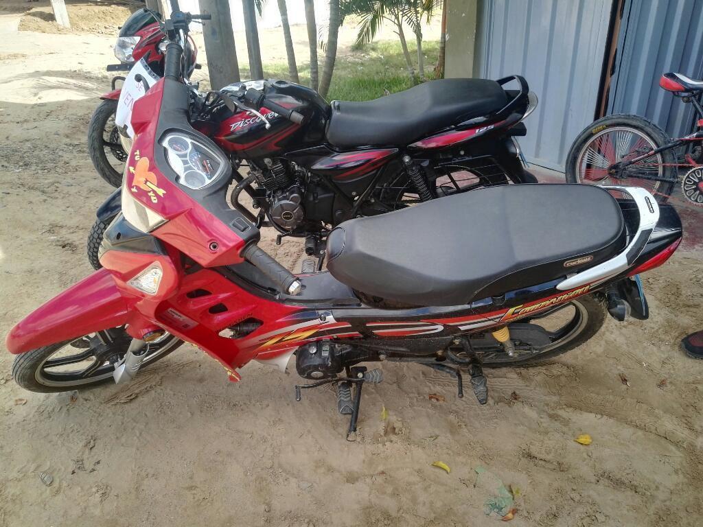 Moto Zongshen Ala Venta